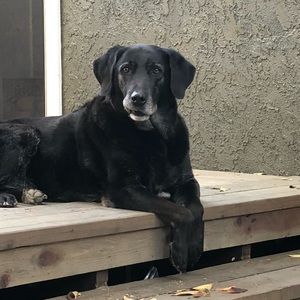 Meet your Posher, Holly